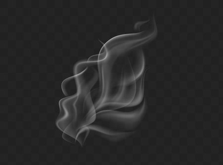 Smoke vector collection. White isolated cigarette smoke. Transparent special effect. Vector illustration.のイラスト素材