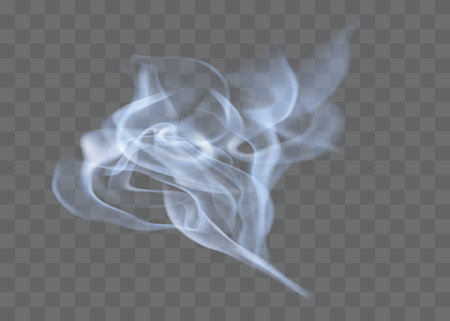 Smoke vector collection. White isolated cigarette smoke. Transparent special effect. Vector illustration.のイラスト素材