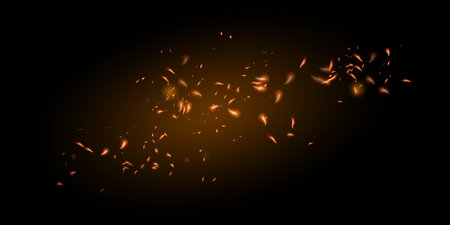 Burning Flame Fiery Sparkles Background. Isolated Fire, Red Yellow Orange Sparks, Smoke. Realistic Energy Glow. Hot Blazing Glow Flashes. Realistic Fire Image on Black. Bright Night, Stars Glitter.のイラスト素材