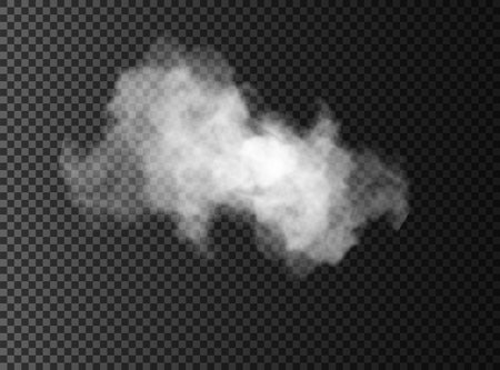Fog or smoke isolated transparent special effect. White vector cloudiness, mist or smog background. Vector illustrationのイラスト素材