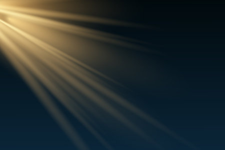 Light effect. Glow isolated white transparent light effect set, lens flare, explosion, glitter, dust, line, sun flash, spark and stars, spotlightのイラスト素材