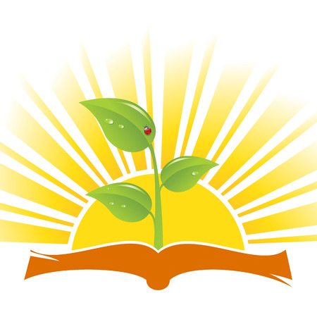 Book with plant and ladybird on sunrise background, vector illustrationのイラスト素材