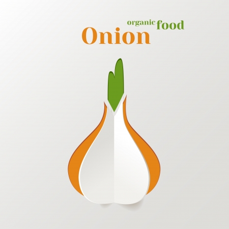 Abstract Vector Background with Paper Onion, Concept Organic Foodのイラスト素材