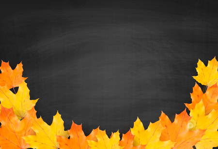 Autumn blackboard background with realistic autumn maple leaves. Vector back to school chalkboard banner. Thanksgiving Day greeting card with copy spaceのイラスト素材