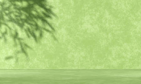 Minimal abstract background with 3D concrete podium display with green leaves