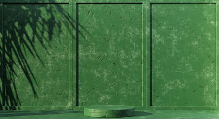 Minimal abstract background with 3D concrete podium display with green leaves