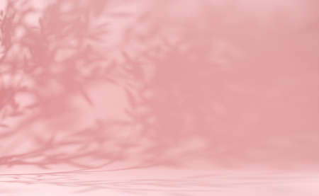 Premium abstract light pink wall summer background with leaves shadowの写真素材