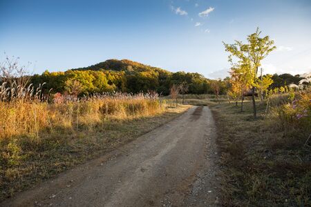 Beautiful country roads and autumn scenery in Koreaの写真素材