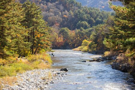 Autumn forest river landscape, South Koreaの写真素材