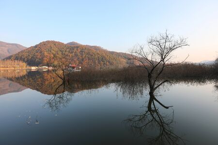 Morning, beautiful reflection of reservoir plants and trees. Mungwang, Chungbuk, Korea.の写真素材
