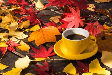 Autumn maple leaf table background and yellow coffee cupの写真素材