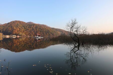 Morning, beautiful reflection of reservoir plants and trees. Mungwang, Chungbuk, Korea.の写真素材