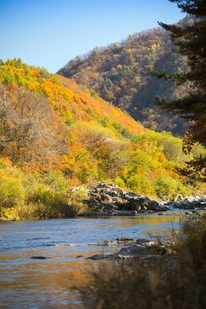 Autumn forest river landscape, South Koreaの写真素材