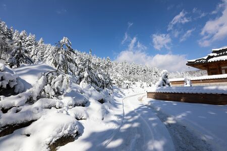 Snowy Korean traditional houses and winter scenery. Woljeongsa buddhist temple, Gangwon-do, Koreaの写真素材