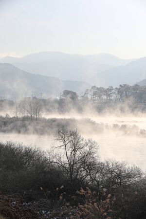 Trees and reeds are covered with snow, and the river has water mist. Soyang River, Chuncheon City, Koreaの写真素材