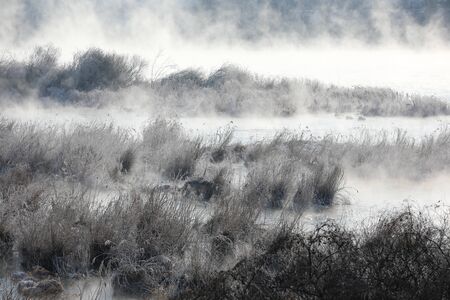 Trees and reeds are covered with snow, and the river has water mist. Soyang River, Chuncheon City, Koreaの写真素材
