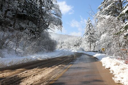 Asphalt road and blue sky between winter forest trees. Odaesan national park, Gangwon-do, Koreaの写真素材