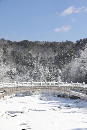 Beautiful winter landscape. Snowy mountains, trees, and bridge scenery. Odaesan National Park, Gangwon Province, Koreaの写真素材