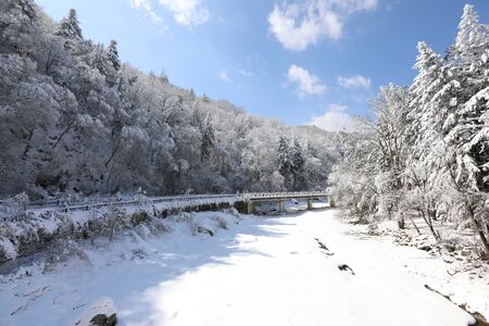 Beautiful winter landscape. Snowy mountains, trees, and bridge scenery. Odaesan National Park, Gangwon Province, Koreaの写真素材