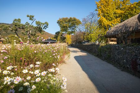 Korean traditional village and stone wall road. Traditional farm village in Asan Oeam folk village, South Koreaの写真素材