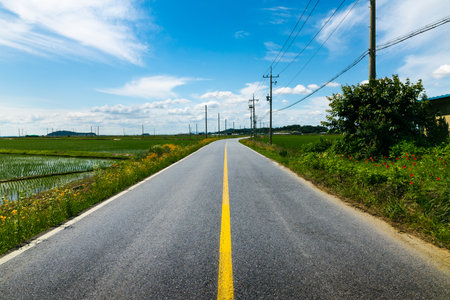 Rural asphalt road through the countryside on a summer day. Ganghwa-gun, Incheon, South Koreaの写真素材