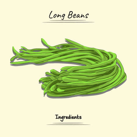 Green Long Beans Illustration, Ingredients For Cooking Some Food, Sketch & Vector Style Isolated On Yellow Backgroundのイラスト素材