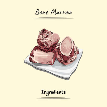 Bone Marrow Illustration Sketch And Vector Style. Good to use for restaurant menu, Food recipe book and food ingredients content.のイラスト素材