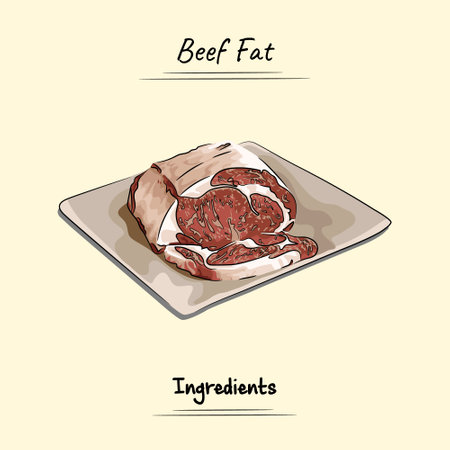 Beef Fat Illustration Sketch And Vector Style. Good to use for restaurant menu, Food recipe book and food ingredients content.のイラスト素材