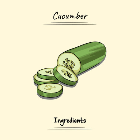 Cucumber Illustration Sketch And Vector Style. Good to use for restaurant menu, Food recipe book and food ingredients content.のイラスト素材