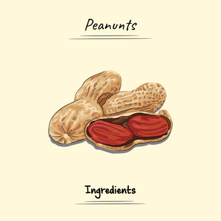 Peanuts Illustration Sketch And Vector Style. Good to use for restaurant menu, Food recipe book and food ingredients content.のイラスト素材