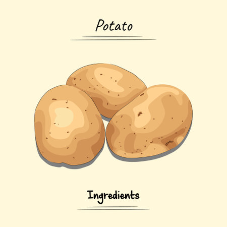 Illustration sketch and vector style of potato. Good to use for restaurant menu, Food recipe book, and food ingredients content.のイラスト素材