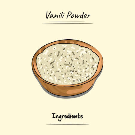 Vanili Powder Illustration Sketch And Vector Style. Good to use for restaurant menu, Food recipe book and food ingredients content.のイラスト素材