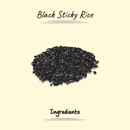 Black Sticky Rice Illustration Sketch And Vector Style. Good to use for restaurant menu, Food recipe book and food ingredients content.のイラスト素材