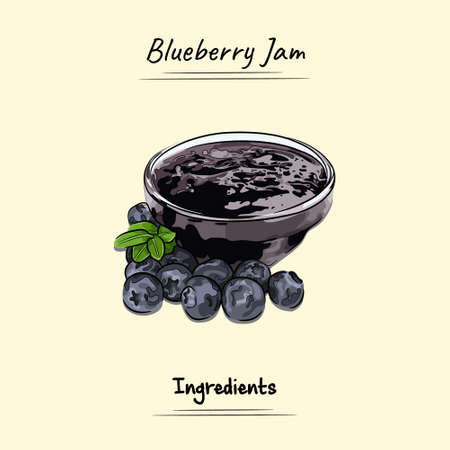 Blueberry Jam Illustration Sketch And Vector Style. Good to use for restaurant menu, Food recipe book and food ingredients content.のイラスト素材