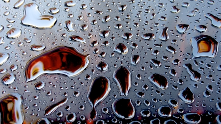 So tell me, what's so bad about a rainy day in  Melbourneの写真素材
