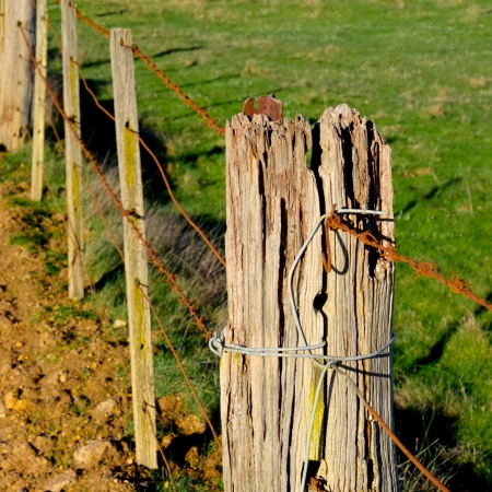 wooden rural fence post in need of repairの写真素材