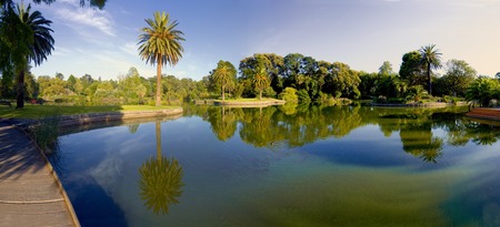 beautiful park on a summer day in melbourneの写真素材