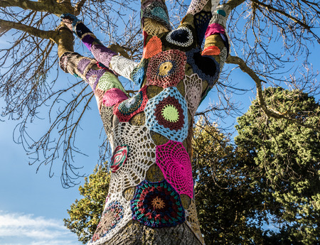 Example of colorful yarn bombing around a tree in an Australian rural farmの写真素材