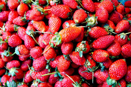 Fresh strawberriesの写真素材