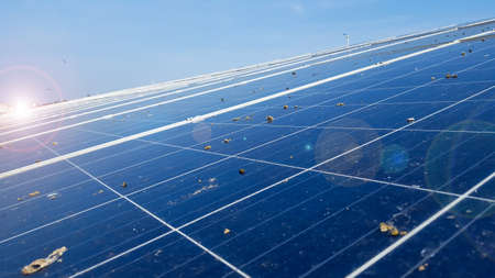 Groups of pigeons make solar cell panels are not clear and not suitable for providing electricity to the building.の写真素材