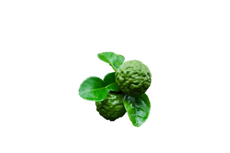Green Kaffir limes and leaves are soaked with rain water after raining on the white background.の写真素材