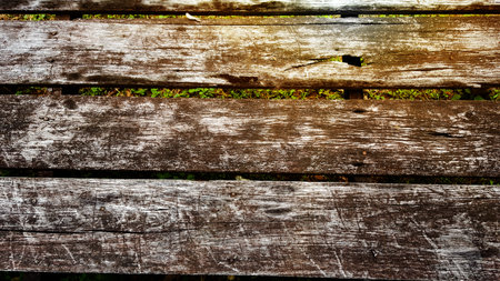 Aged wood planks with black and white patterns of cracked and scars with the gaps, edited with soft lightの写真素材