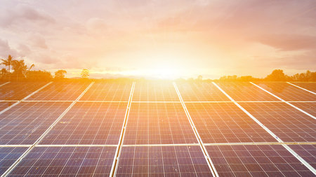 Dirty solar cell panels are under the evening sunlight and the reflection of surrounding trees,...