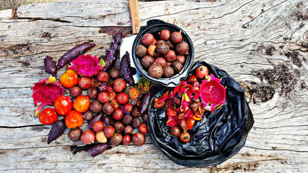 Fruits and vegetables are preparing to make compost fertilizerの写真素材