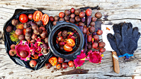 Fruits and vegetables are preparing to make compost fertilizerの写真素材