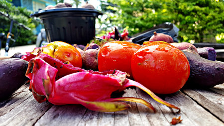 Fruits and vegetables are preparing to make compost fertilizerの写真素材