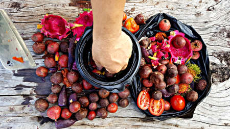 Fruits and vegetables are preparing to make compost fertilizerの写真素材