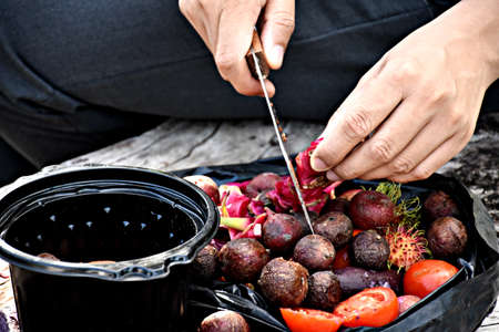 Fruits and vegetables are preparing to make compost fertilizerの写真素材
