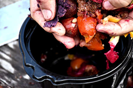 Fruits and vegetables are preparing to make compost fertilizerの写真素材
