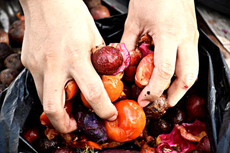 Fruits and vegetables are preparing to make compost fertilizerの写真素材